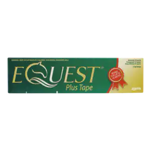 Equest Plus Tape