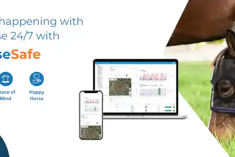 476218553_122196336290142135_2129845007044346484_n