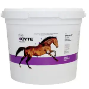 4Cyte Equine Granules 700g