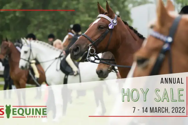 ANNUAL (940 × 700 px) (1200 × 700 px)