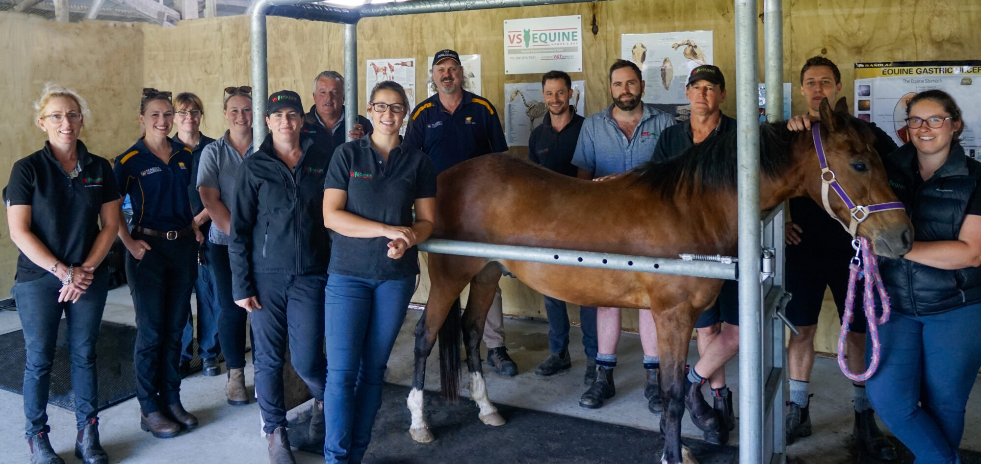 Careers with VS Equine Vet Services Equine