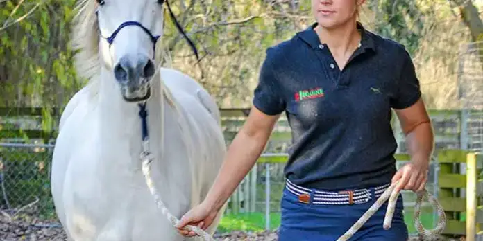 Lameness Examination