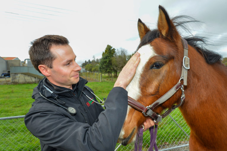 Mike & horse