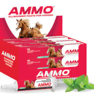 AMMO