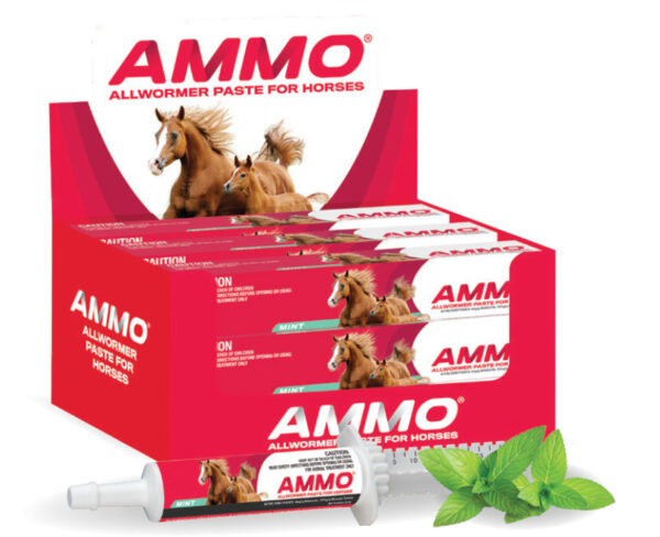 AMMO