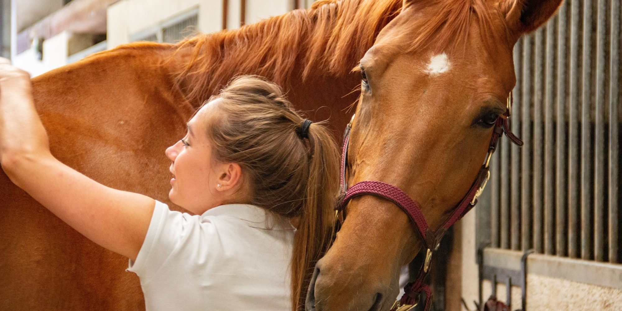 woman in white crew neck t-shirt standing beside brown horse during daytime